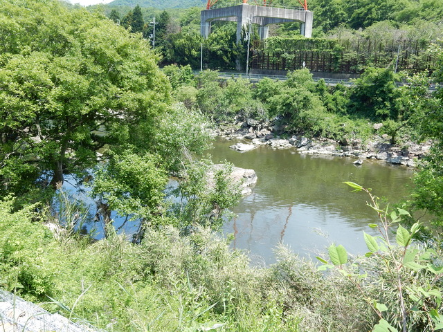 DSCN2395
