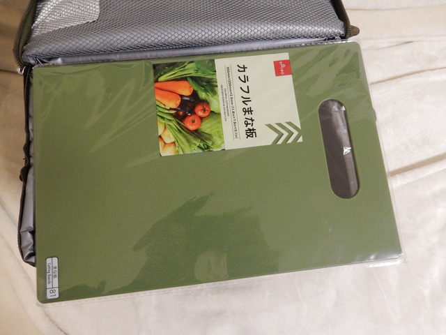 DSCN8751