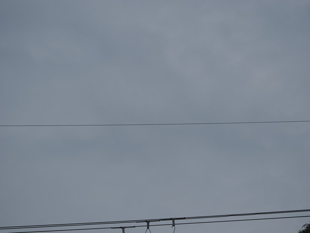 P9287381