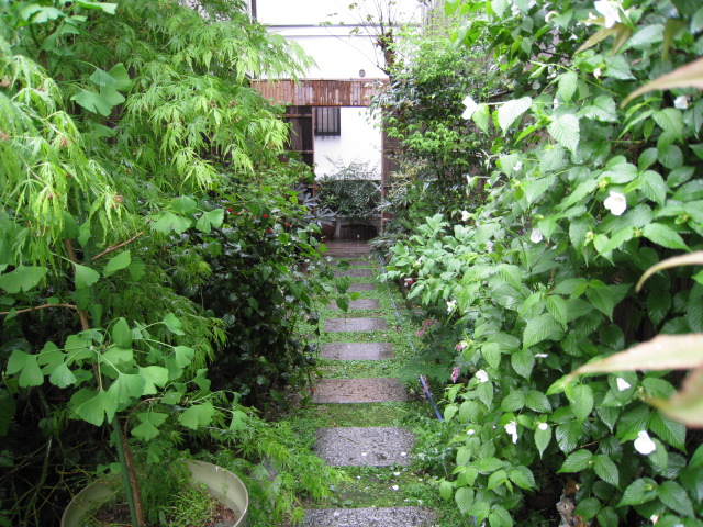 3f873d59.jpg