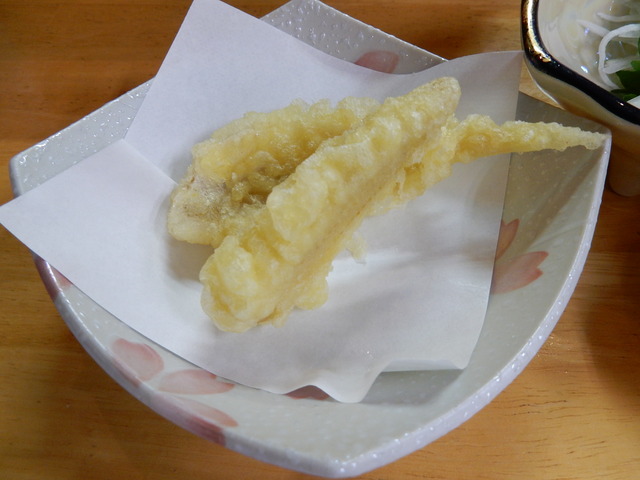 DSCN1480