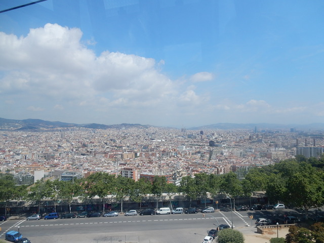 DSCN4724
