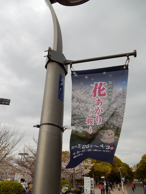 DSCN7536