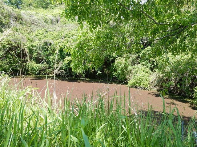 DSCN2363