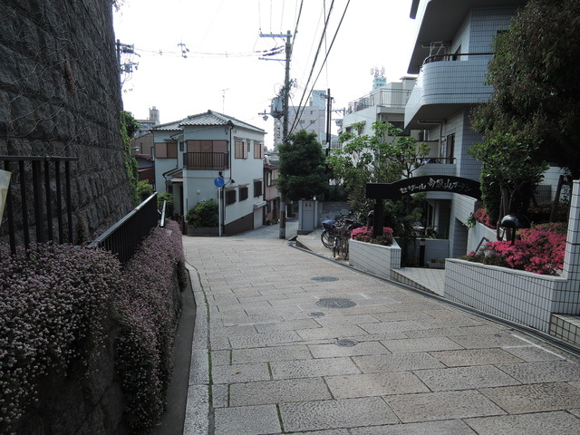 DSCN2285