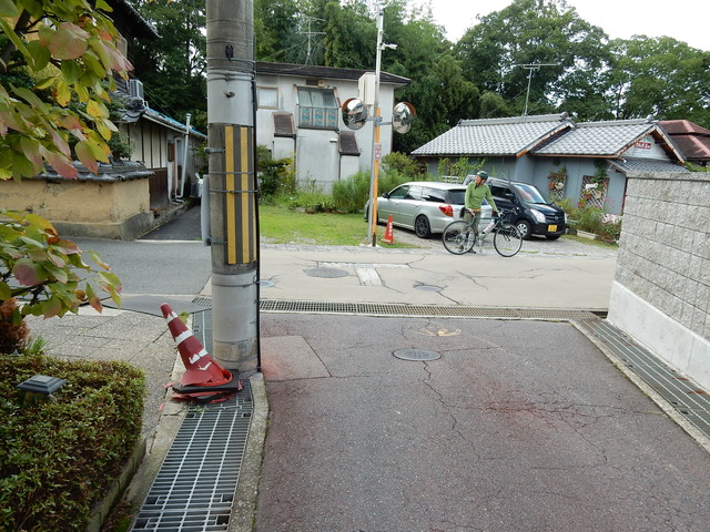 DSCN8854