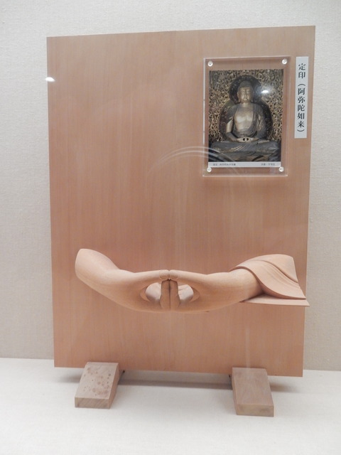 DSCN6004