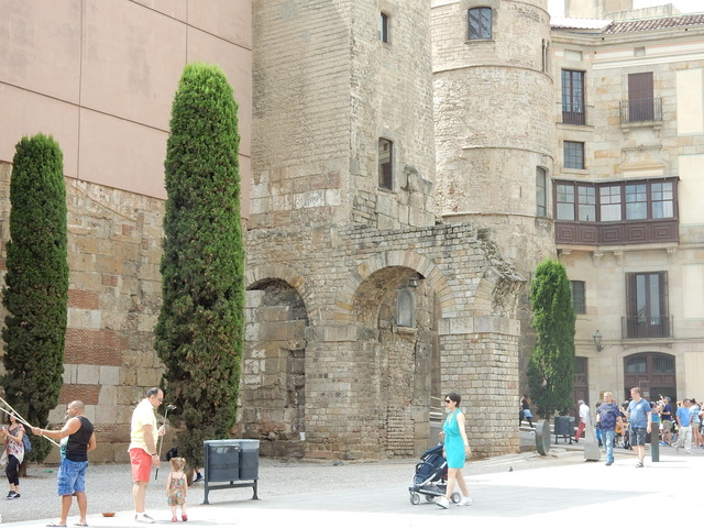 DSCN4692