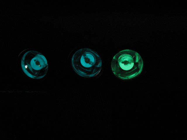475d646a.jpg