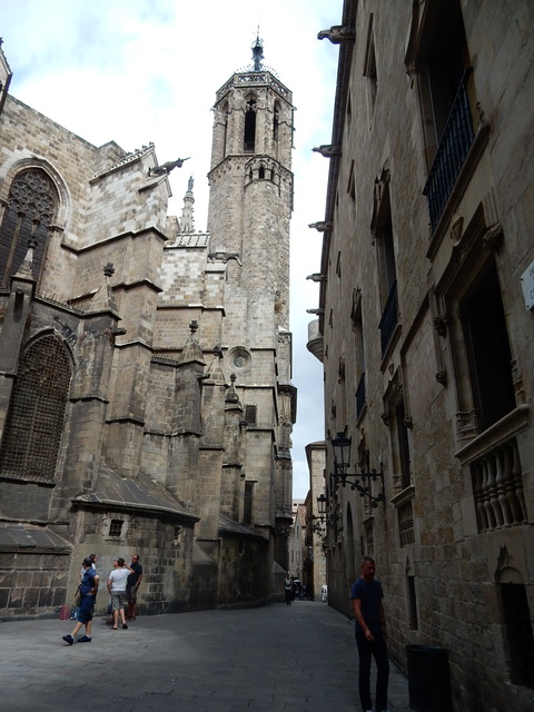 DSCN4666