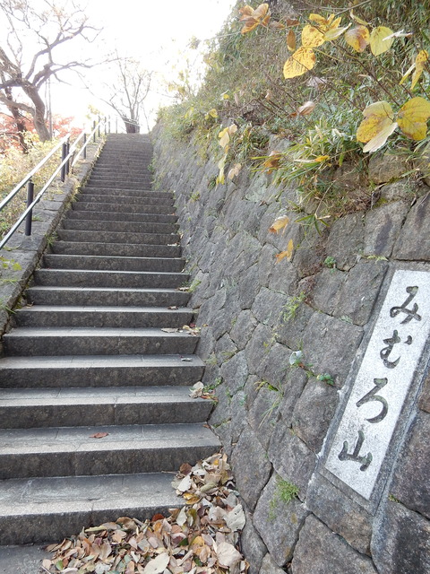 DSCN9768