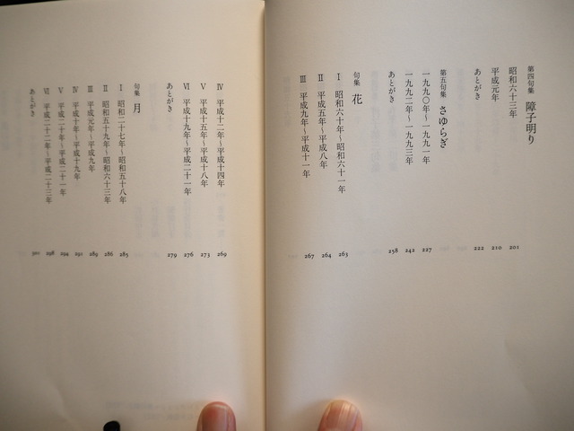P5173896