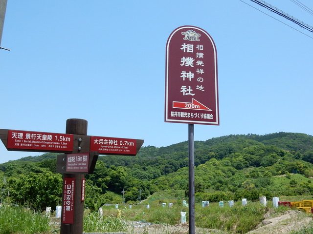 DSCN8368