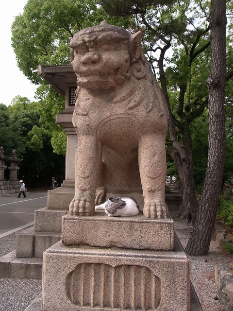 RIMG0659