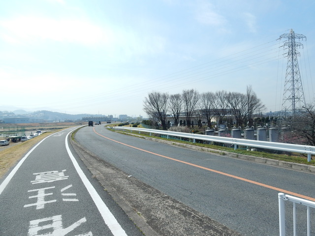 DSCN7626