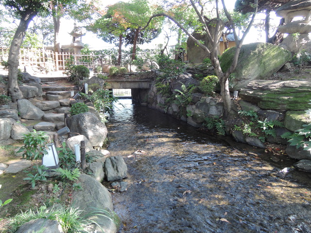 DSCN3797