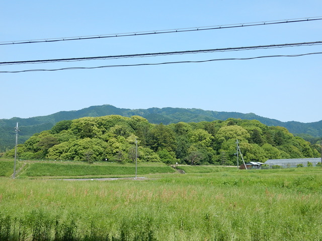 DSCN8398
