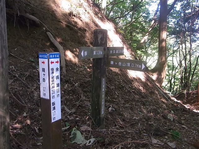 RIMG5974