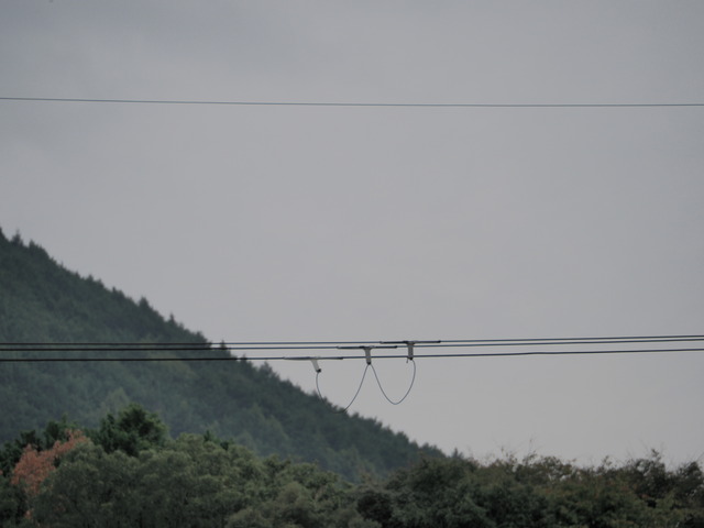P9287380
