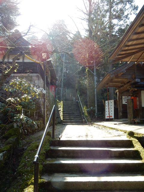 DSCN1526