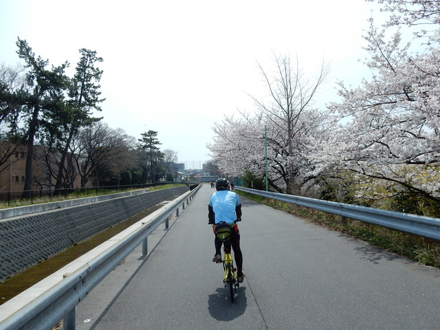 DSCN7888
