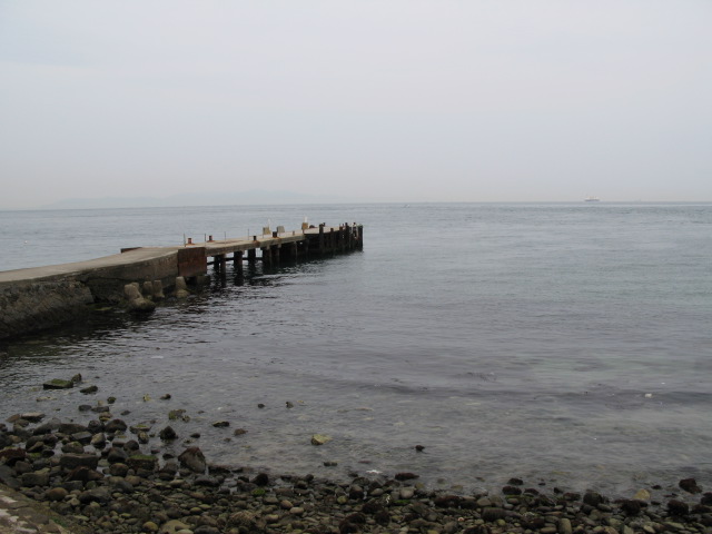 4c5e889e.jpg