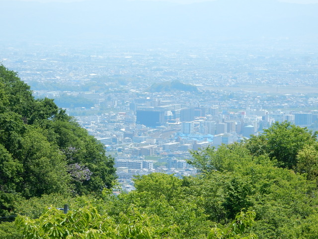 DSCN2341