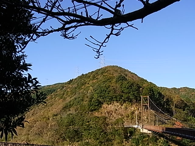 4de5d632.jpg
