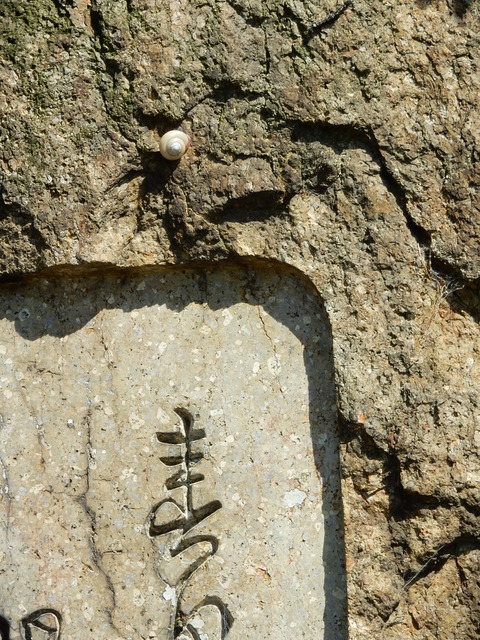 DSCN1103