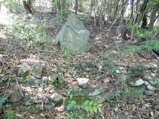 DSCN2334