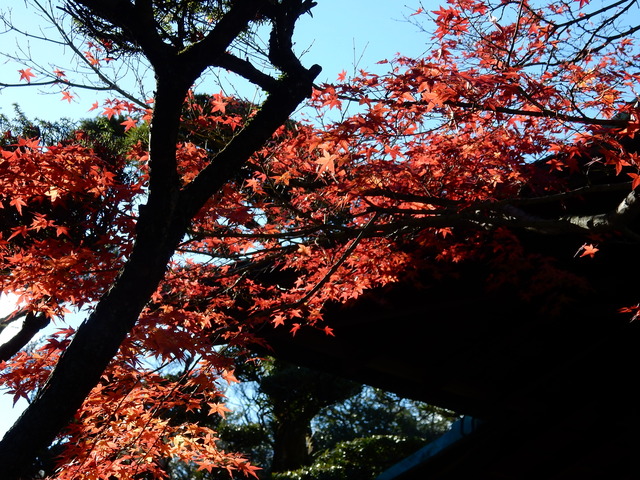 DSCN9932
