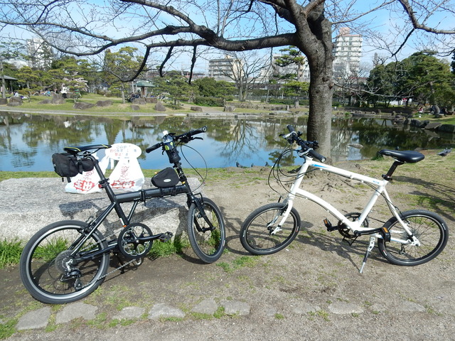 DSCN5615