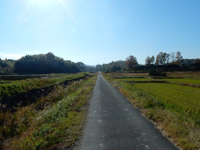DSCN8347
