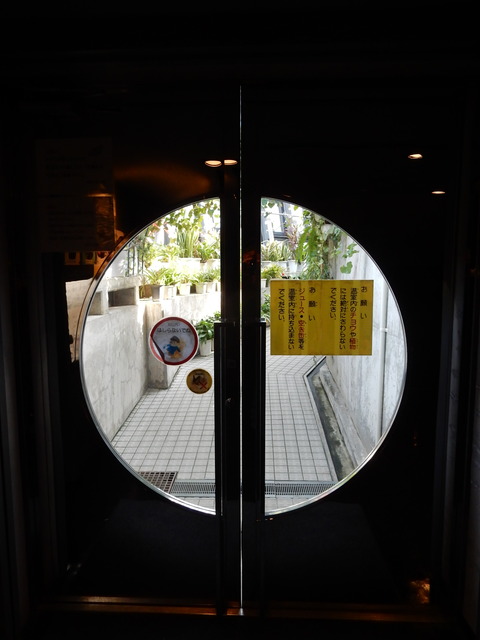 DSCN4845