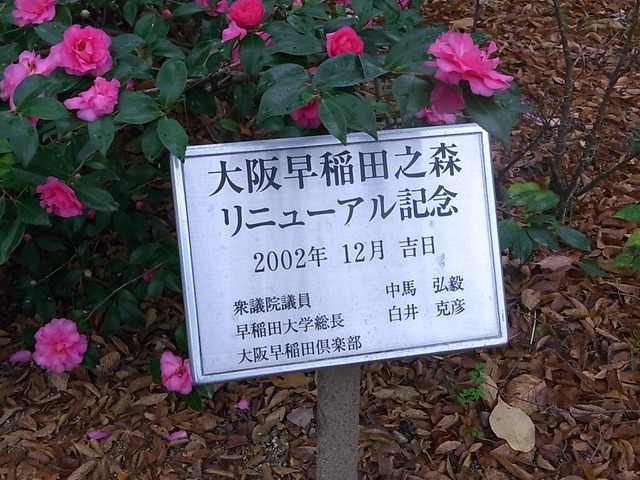 RIMG6413