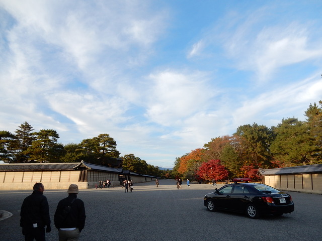 DSCN6461