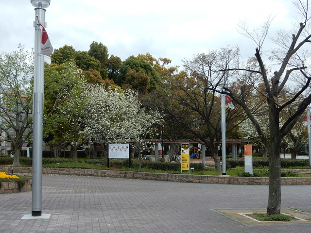DSCN5824