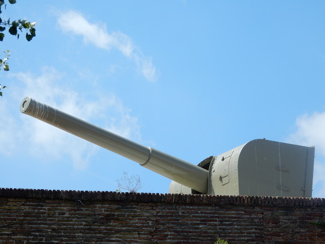 DSCN4750