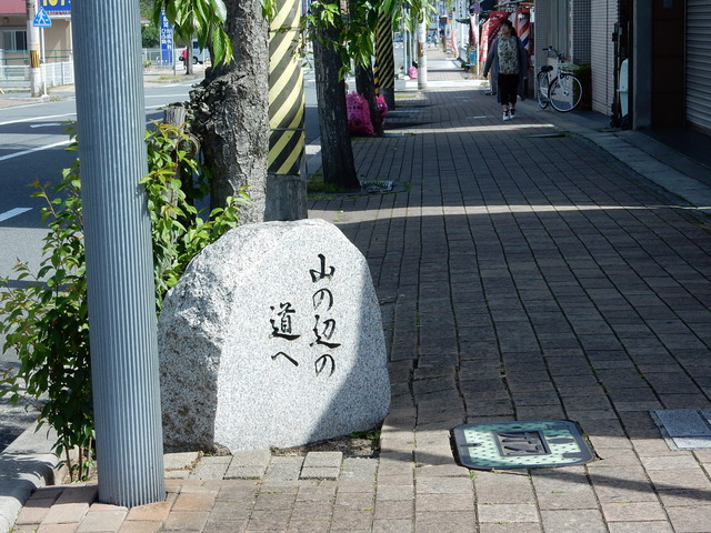 DSCN8289