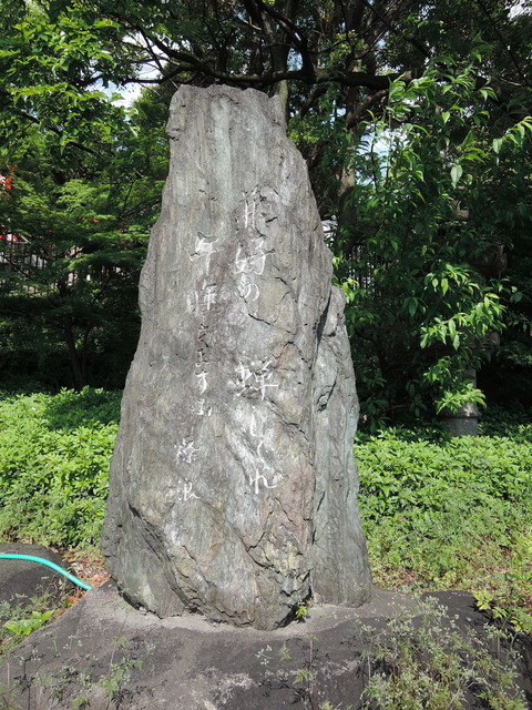 DSCN2309