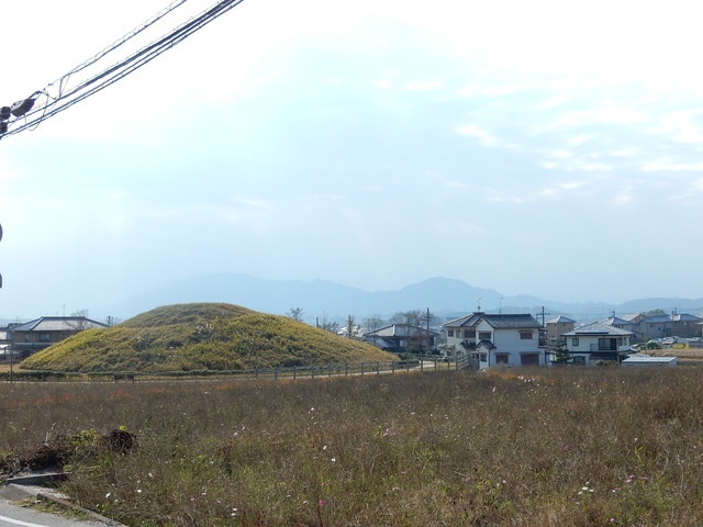 DSCN9814