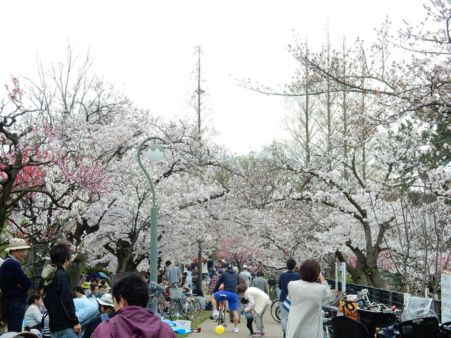 DSCN7487