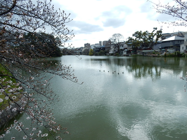 DSCN5817
