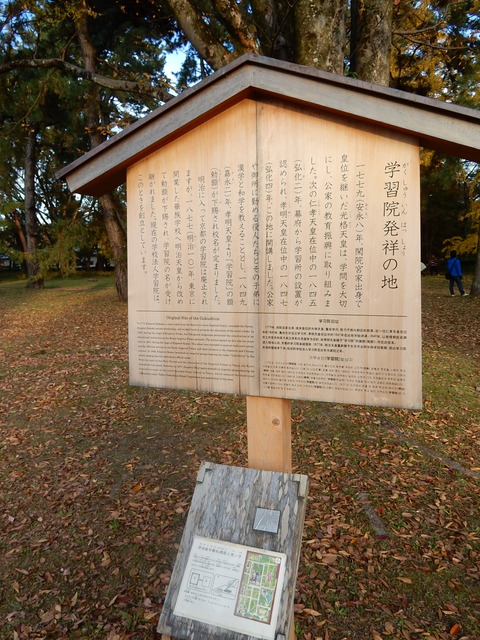DSCN6483