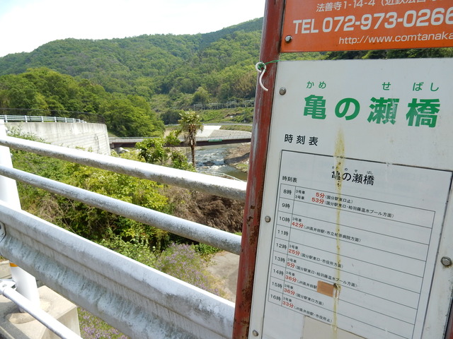 DSCN2402