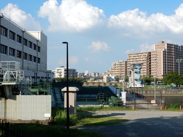 DSCN5383