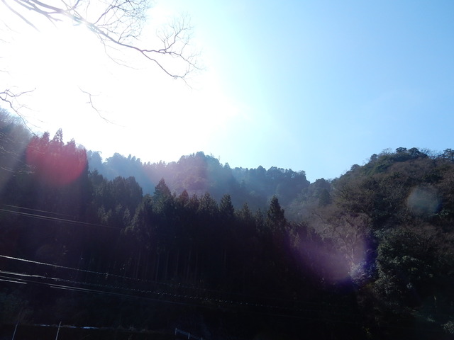DSCN1522