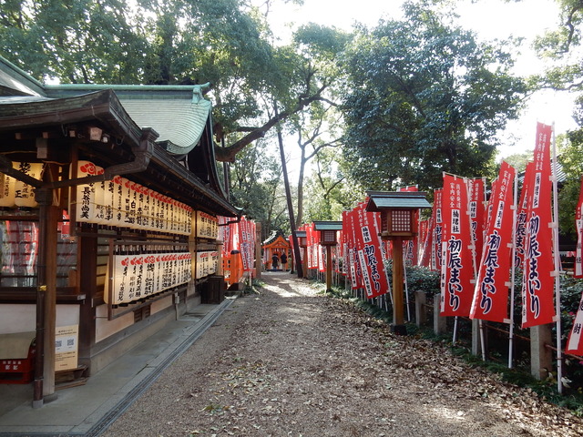 DSCN8798