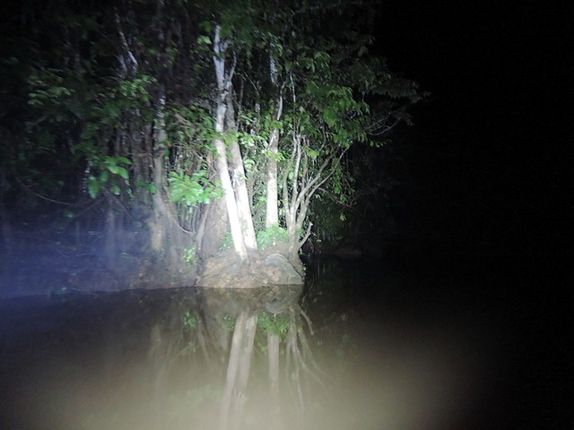 DSCN0804