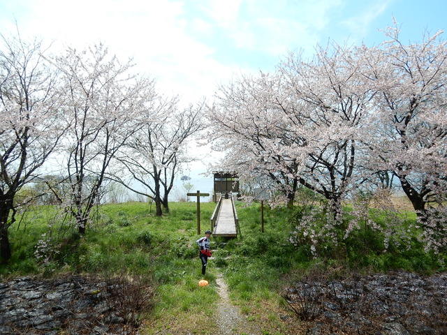 DSCN0881